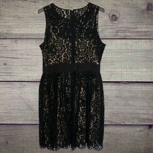 Eliza J Sleeveless Lace Fit Flare Dress Black